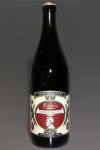 Semper Ardens Christmas Ale